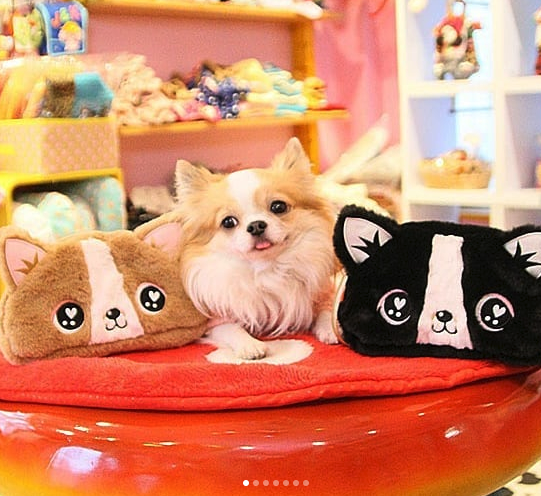 J&k ANIMALS 新品 未使用品 ローズレースパンツサイズ 3SL ピンク サイズ表 | J\u0026K animals