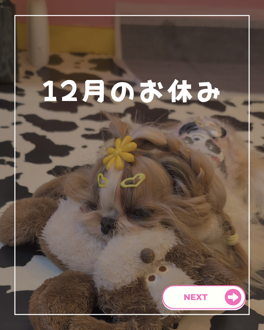 🐾お休みのお知らせ🐾⁡⁡⁡ | J&K animals