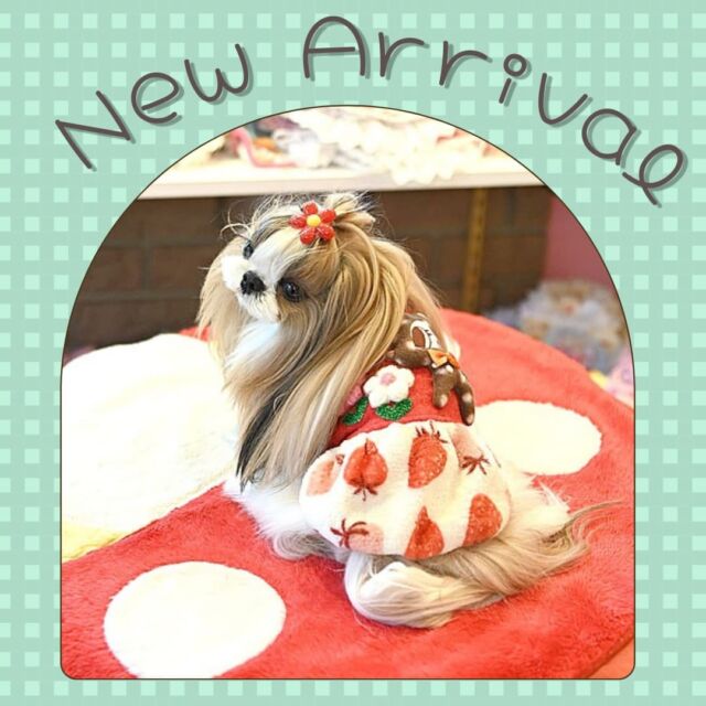 j&ｋ animals♥️完売品♥️はるちゃん♥️キャリーバッグ - 犬用品