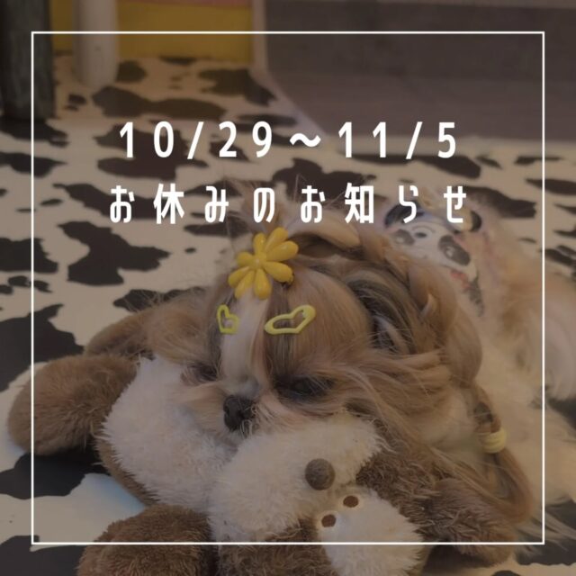 J&K Animals 限定ハロウィンワンピース 3S J&K Animals 限定ハロウィンワンピース 3S