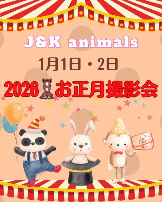 予約完売しました! 限定品 ☆ハロウィン フリル ワンピース☆ | J&K