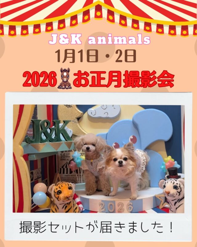 ワンちゃんグッズ専門店 J&K animals