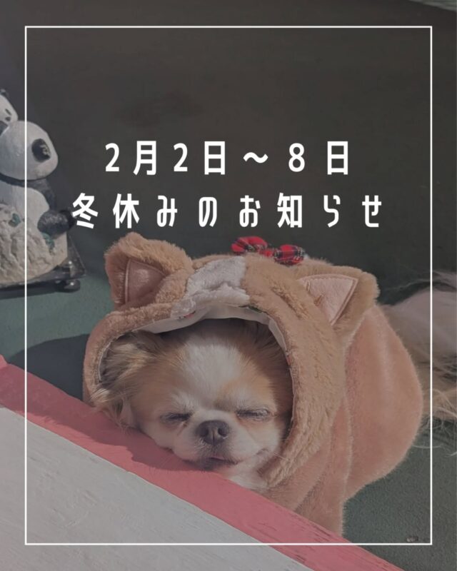 ワンちゃんグッズ専門店 J&K animals