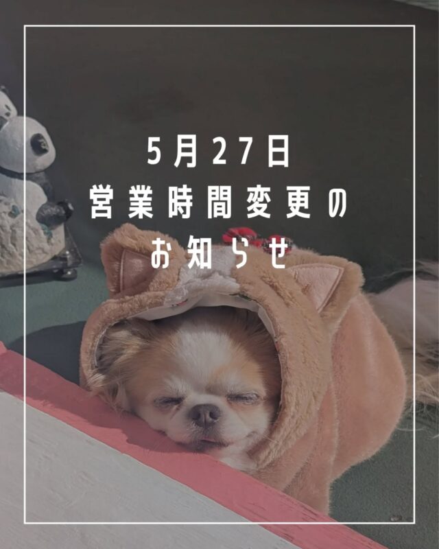 ワンちゃんグッズ専門店 J&K animals