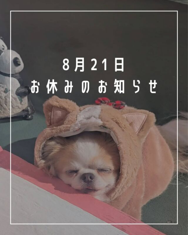 ワンちゃんグッズ専門店 J&K animals